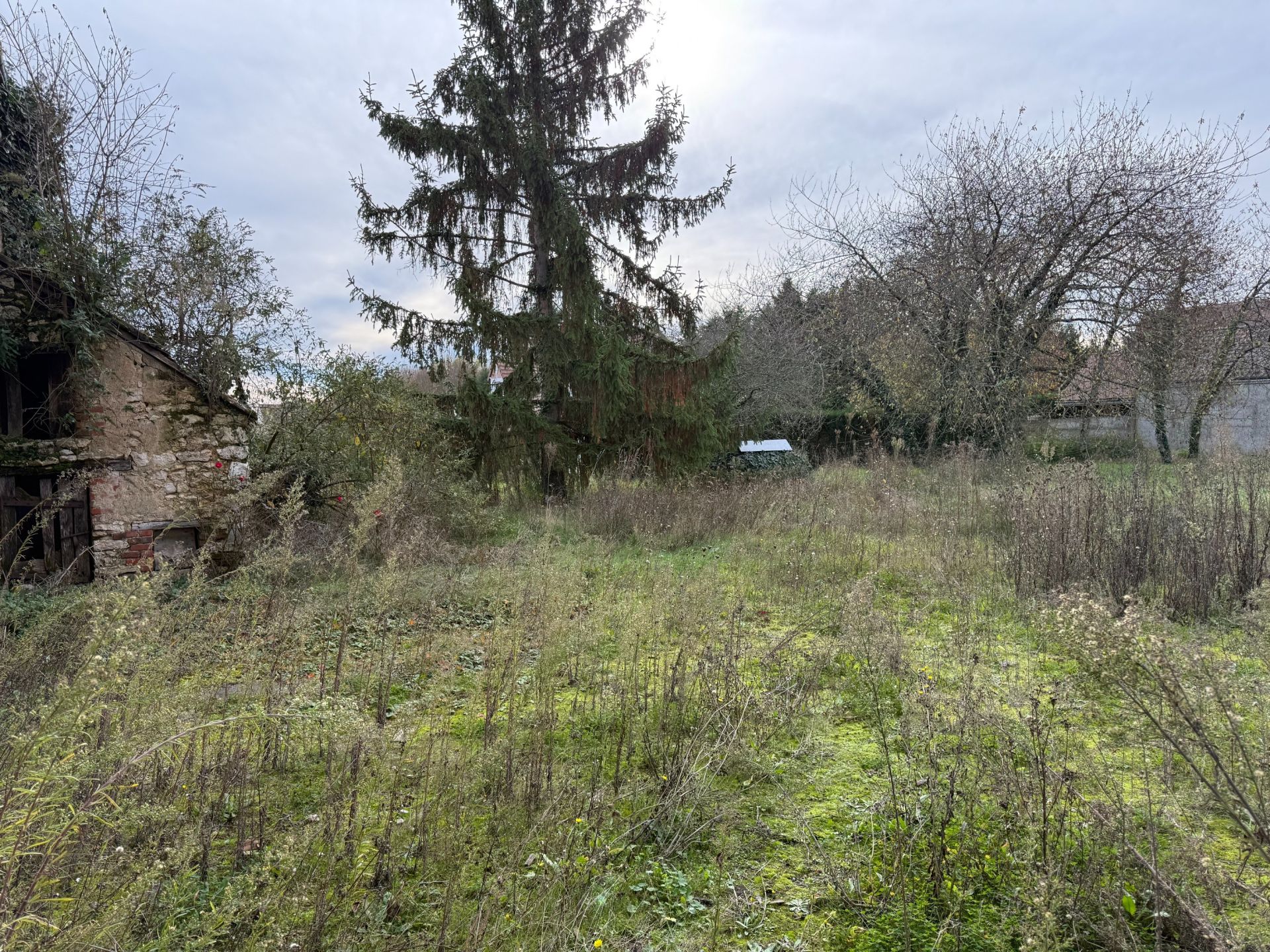 grange 3 Pièces en vente sur ST SULPICE DE POMMERAY (41000)