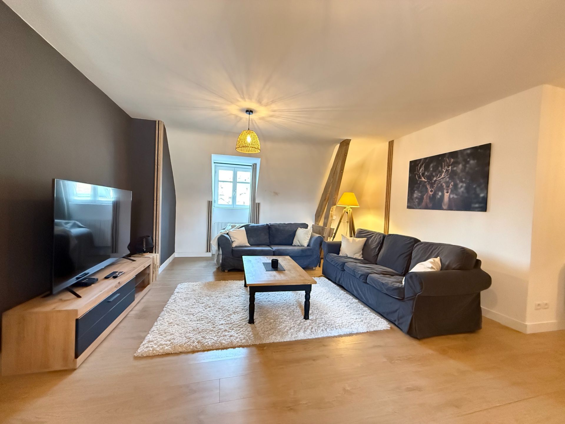 appartement 4 Pièces en vente sur BLOIS (41000)