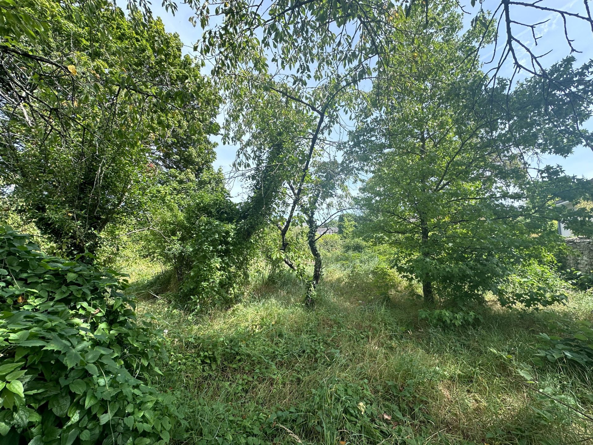 Vente Terrain Blois 783 m²