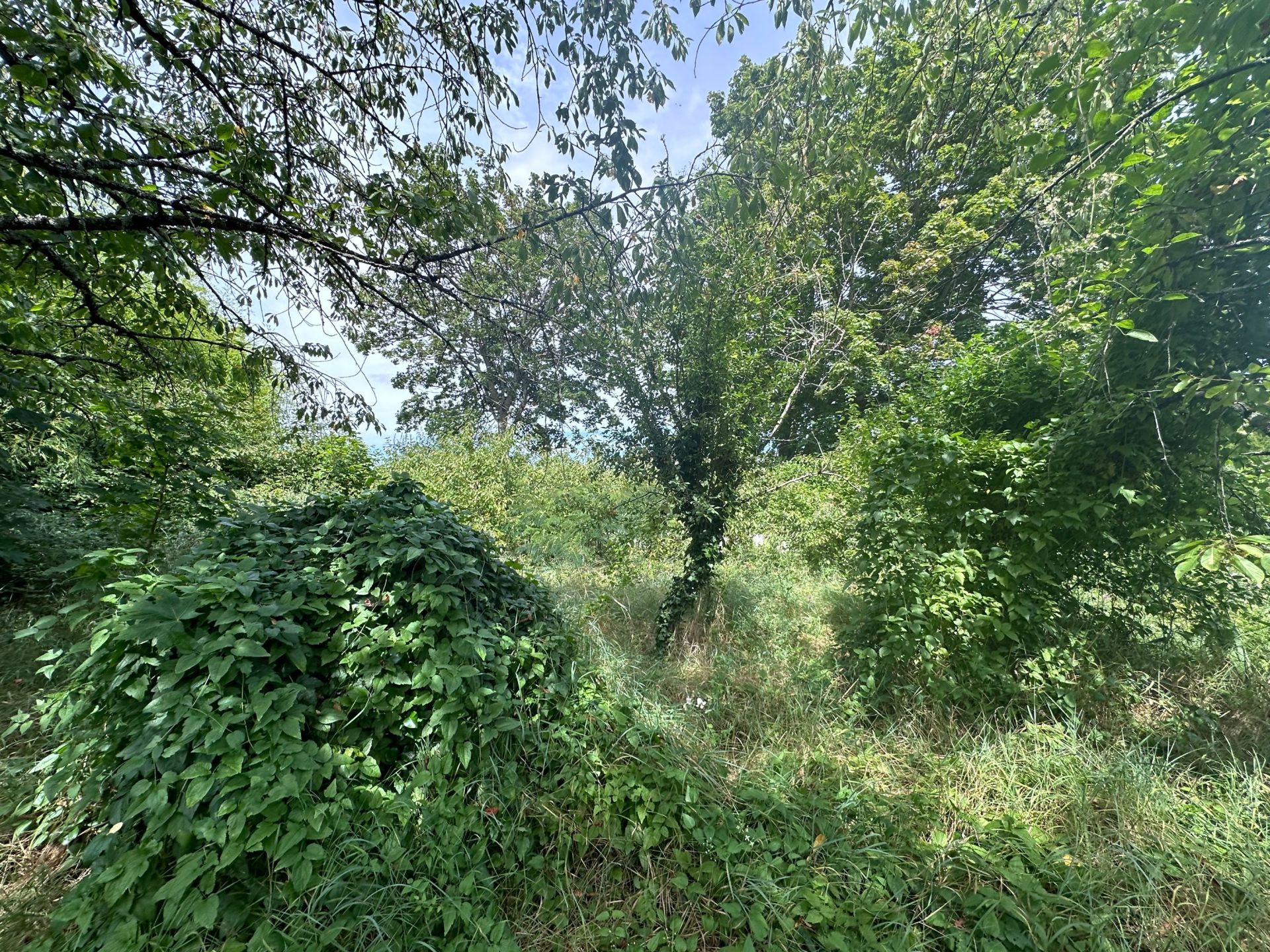 Vente Terrain Blois 783 m²