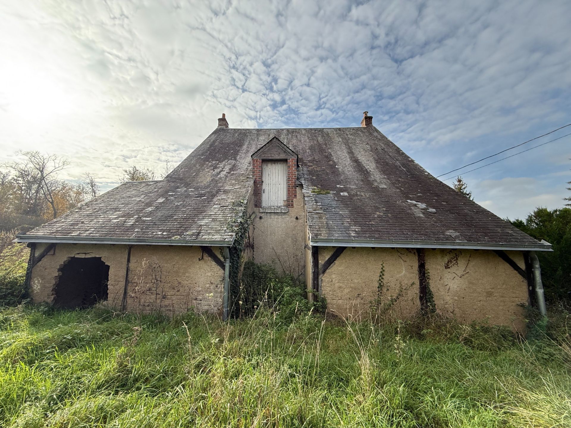 maison 3 Pièces en vente sur CHOUZY SUR CISSE (41150)