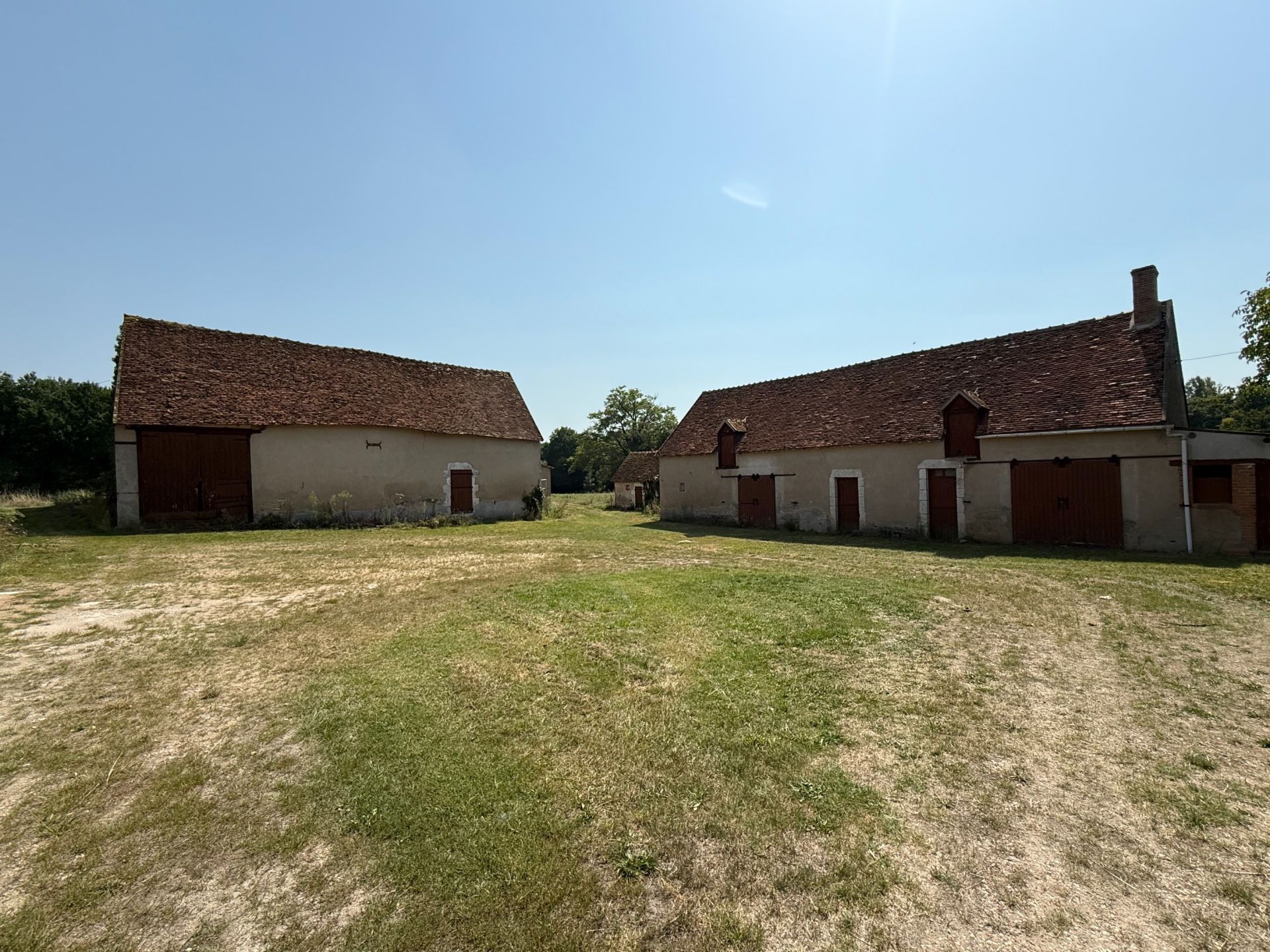 propriété de chasse 8 Pièces en vente sur GY EN SOLOGNE (41230)
