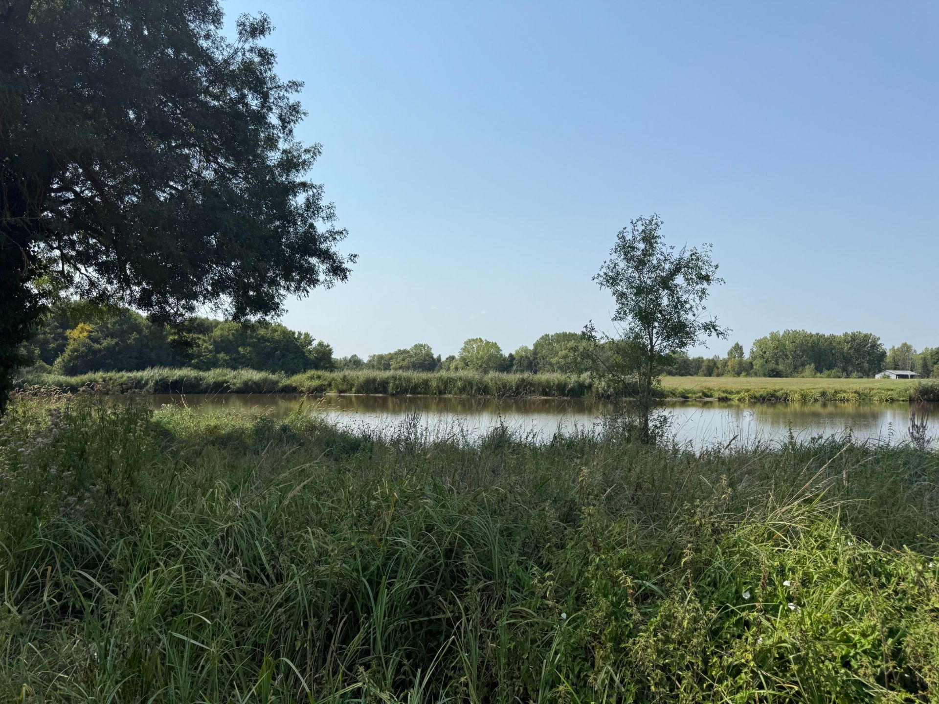 propriété de chasse 8 Pièces en vente sur GY EN SOLOGNE (41230)