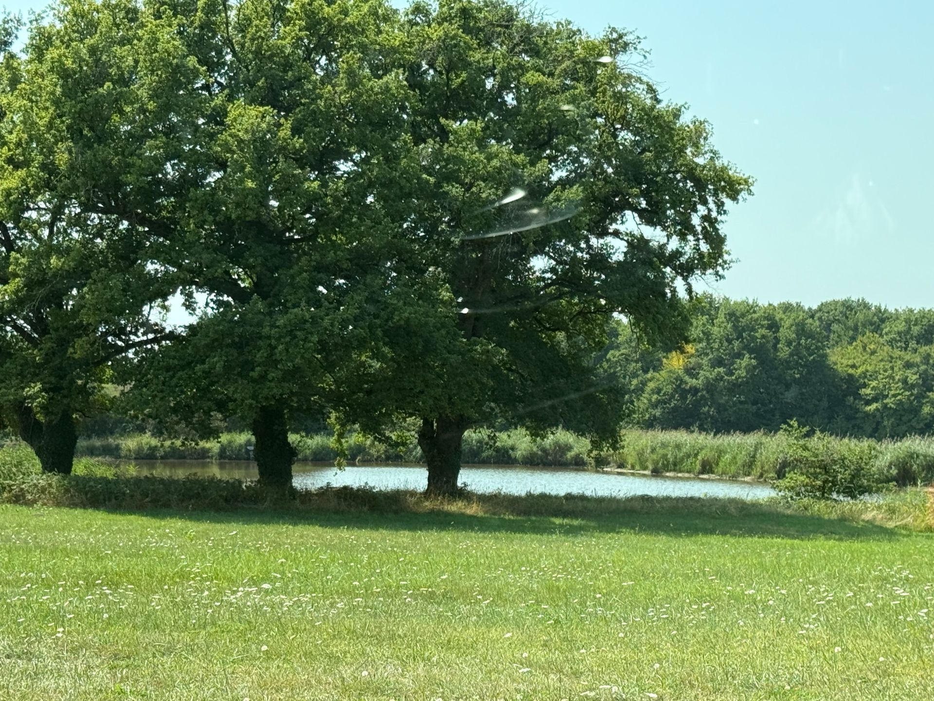 propriété de chasse 8 Pièces en vente sur GY EN SOLOGNE (41230)