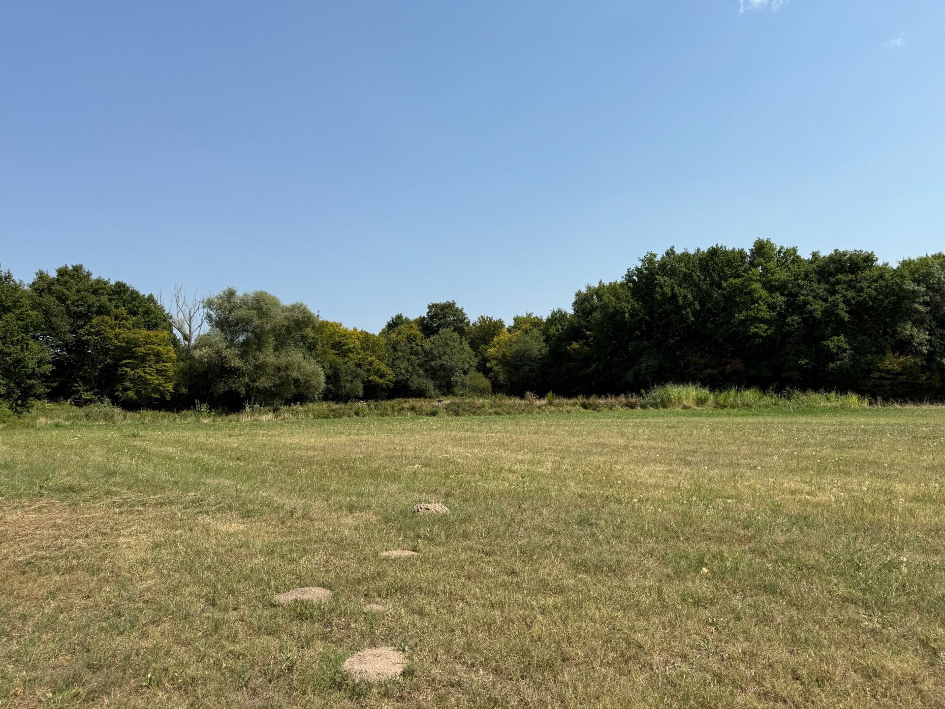 propriété de chasse 8 Pièces en vente sur GY EN SOLOGNE (41230)
