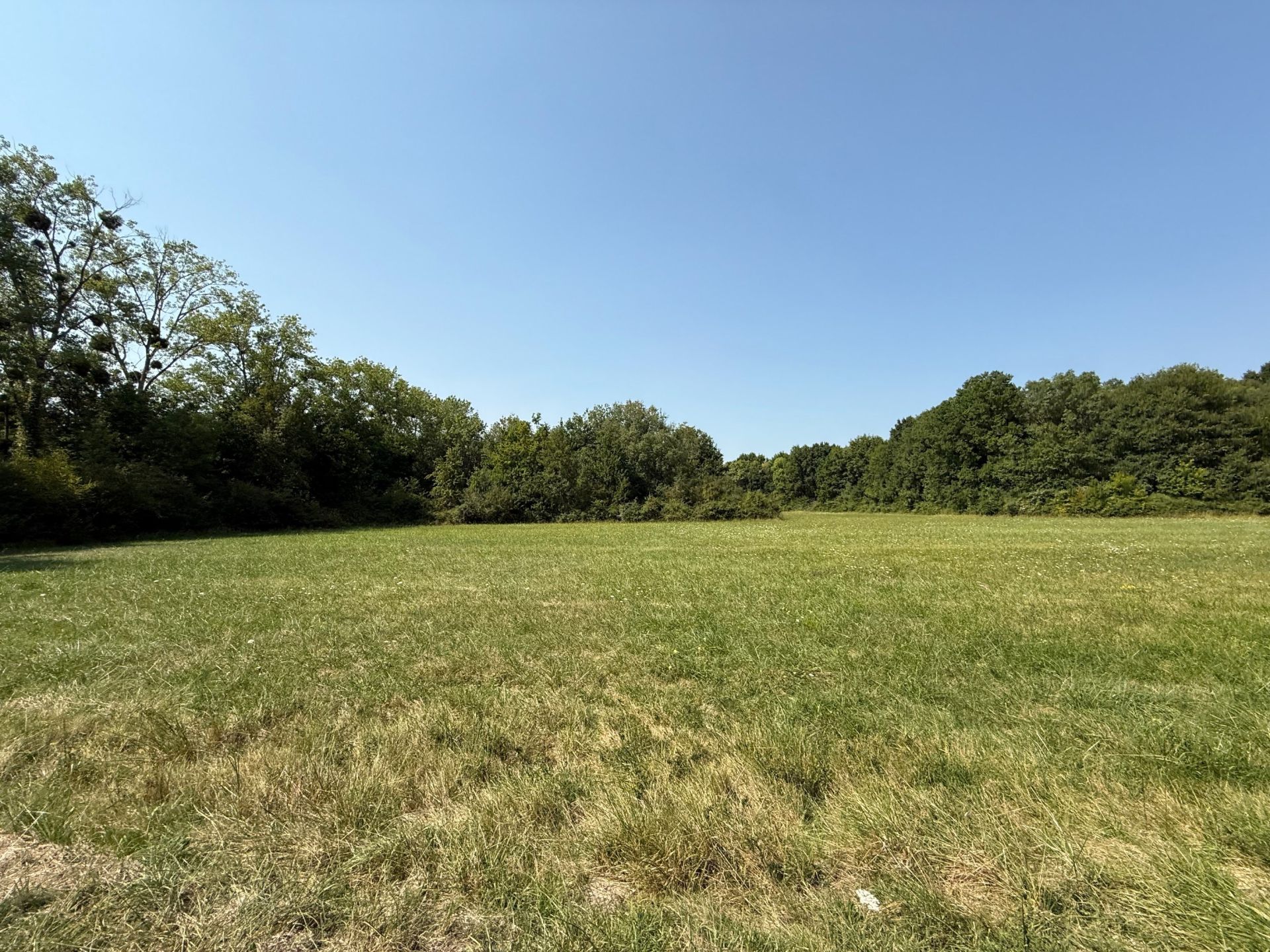 propriété de chasse 8 Pièces en vente sur GY EN SOLOGNE (41230)