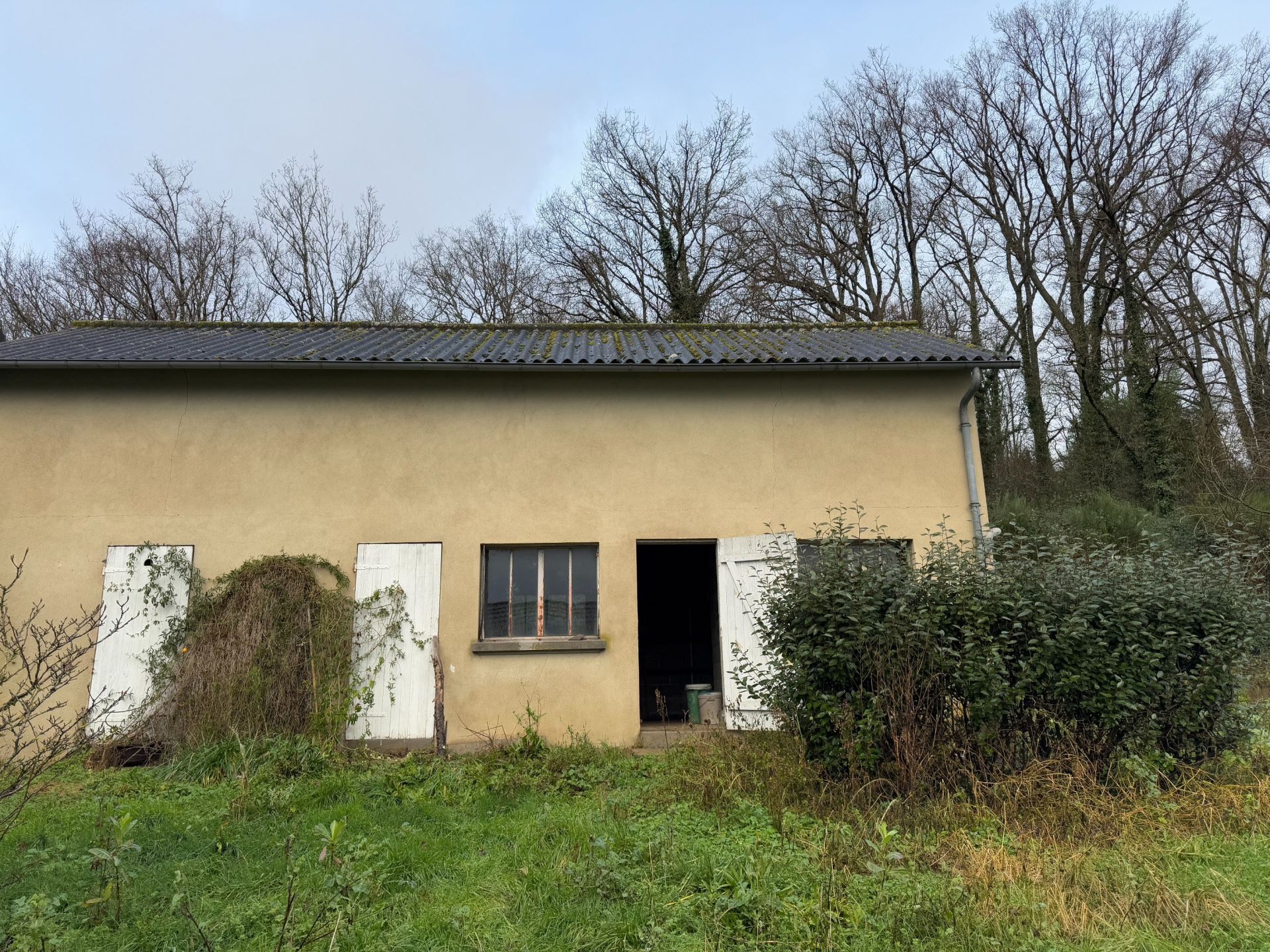 maison 4 Pièces en vente sur CHOUZY SUR CISSE (41150)